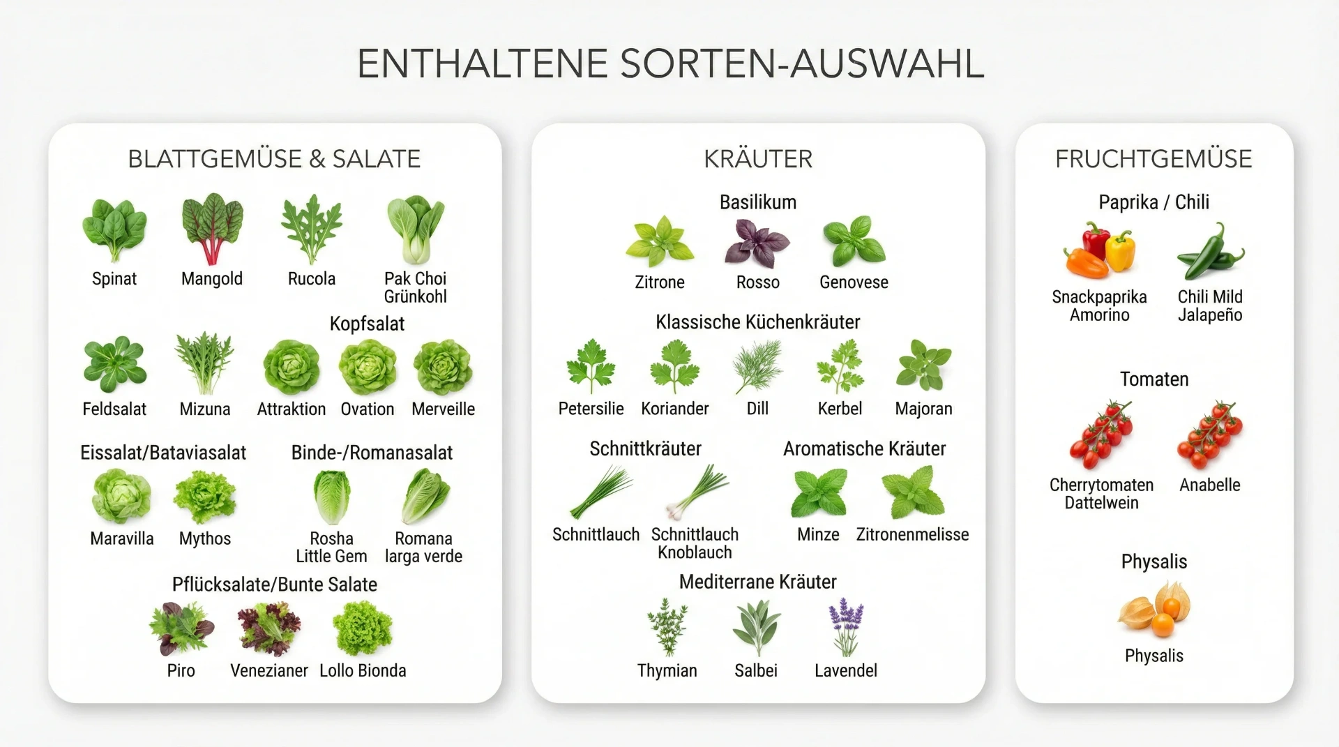 Starterset mit 40 Sorten Saatgut